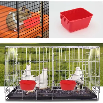 ZooVenture Lot de 10 bols d'alimentation et abreuvoirs pour cage d'oiseaux