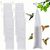 ZooVenture Lot de 6 mangeoires à chaussettes pour oiseaux sauvages
