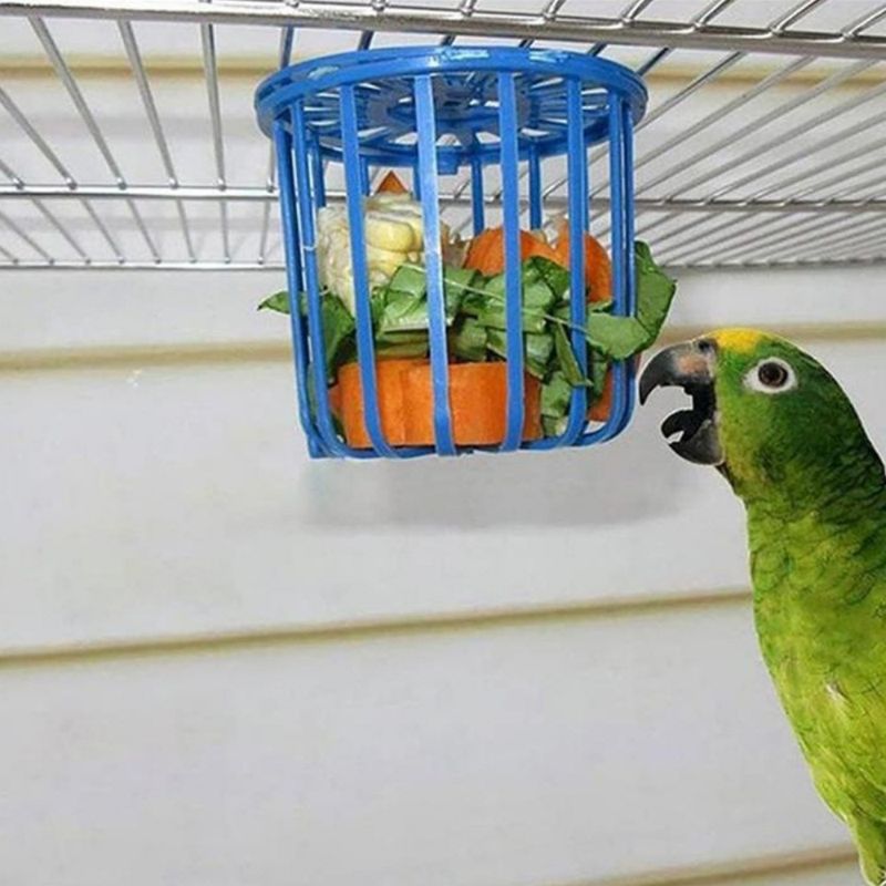 ZooVenture Lot de 8 paniers d'alimentation pour perroquets