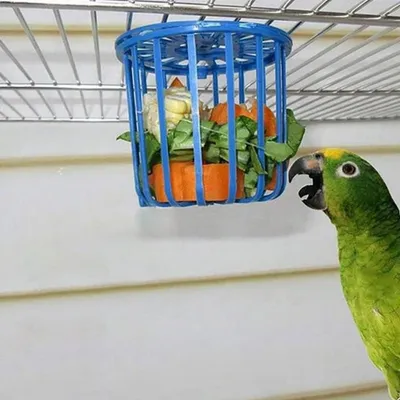 ZooVenture Lot de 8 paniers d'alimentation pour perroquets