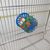 ZooVenture Lot de 8 paniers d'alimentation pour perroquets