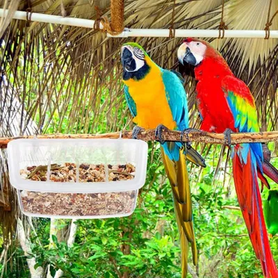 ZooVenture Juego de 2 comederos colgantes de plástico para pájaros