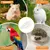 ZooVenture Clips de support de nourriture pour oiseaux