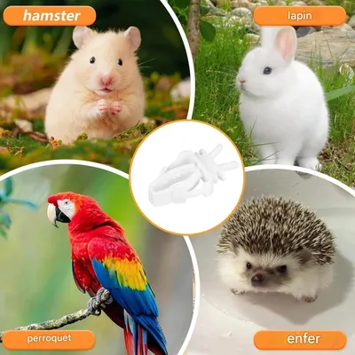 ZooVenture Clips de support de nourriture pour oiseaux