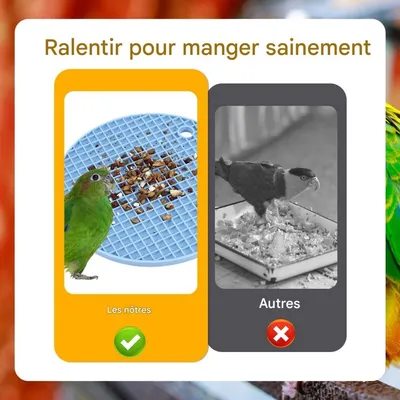 ZooVenture Lot de 2 tapis d'alimentation lente pour oiseaux