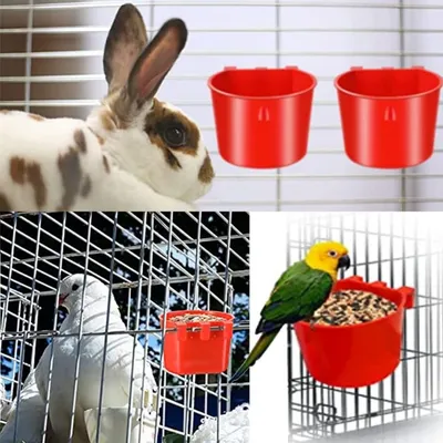 ZooVenture Lot de 20 bols d'alimentation et abreuvoirs pour cage d'oiseaux