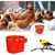 ZooVenture Lot de 20 bols d'alimentation et abreuvoirs pour cage d'oiseaux