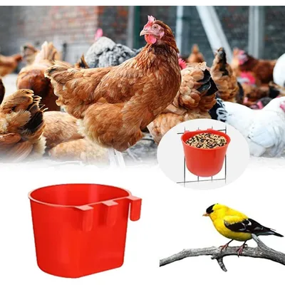 ZooVenture Lot de 20 bols d'alimentation et abreuvoirs pour cage d'oiseaux