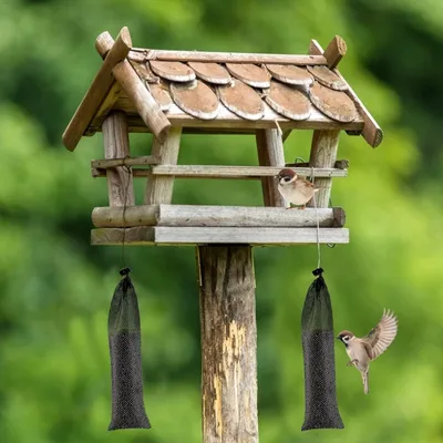 ZooVenture Lot de 6 mangeoires à chaussettes pour oiseaux sauvages