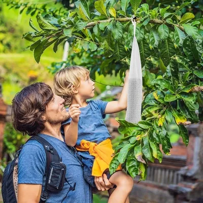 ZooVenture Lot de 6 mangeoires à chaussettes pour oiseaux sauvages