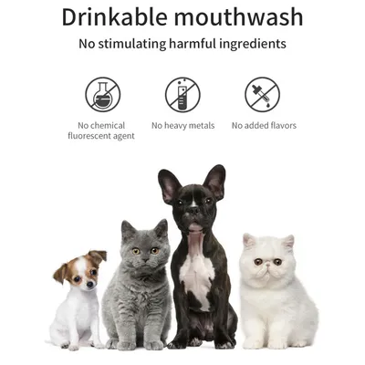 IntiMeg Solution de nettoyage buccal pour chiens et chats