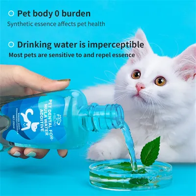 IntiMeg Solución de limpieza bucal para perros y gatos