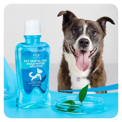 IntiMeg Solución de limpieza bucal para perros y gatos