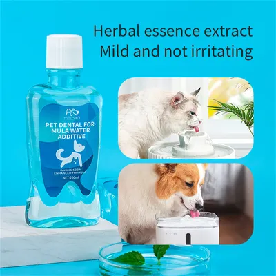 IntiMeg Solución de limpieza bucal para perros y gatos
