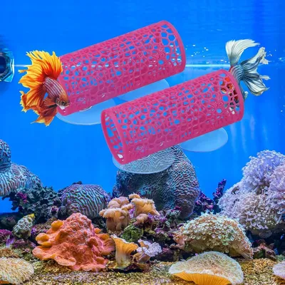 ZooVenture Décorations d'aquarium Betta