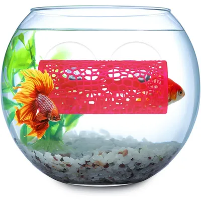 ZooVenture Décorations d'aquarium Betta