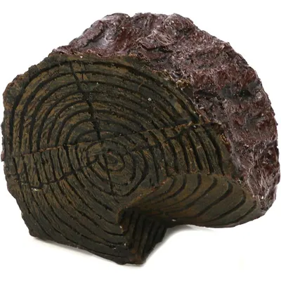 ZooVenture Plateforme escalade pour tortue