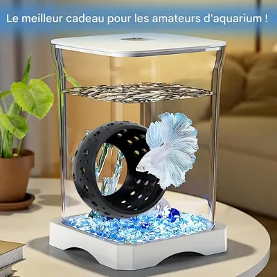 ZooVenture Décoration pour aquarium Betta