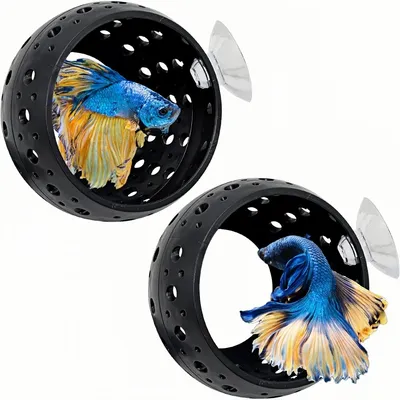 ZooVenture Décoration pour aquarium Betta