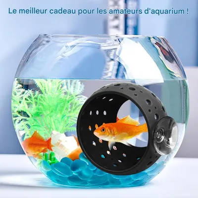 ZooVenture Décoration pour aquarium Betta