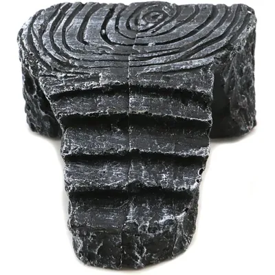 ZooVenture Plateforme escalade pour tortue