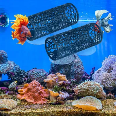 ZooVenture Décorations d'aquarium Betta