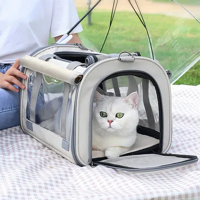 FurryFusion Sac de transport pour chien et chat