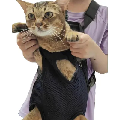 IntiMeg Sac à dos pour animaux de compagnie réglable