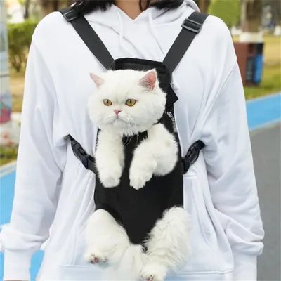 IntiMeg Sac à dos pour animaux de compagnie réglable