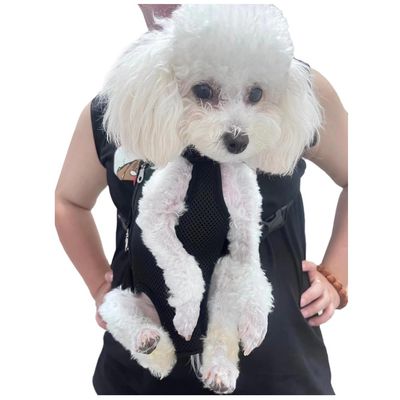 IntiMeg Sac à dos pour animaux de compagnie réglable