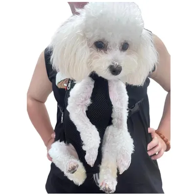 IntiMeg Sac à dos pour animaux de compagnie réglable