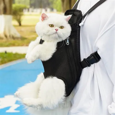 IntiMeg Sac à dos pour animaux de compagnie réglable