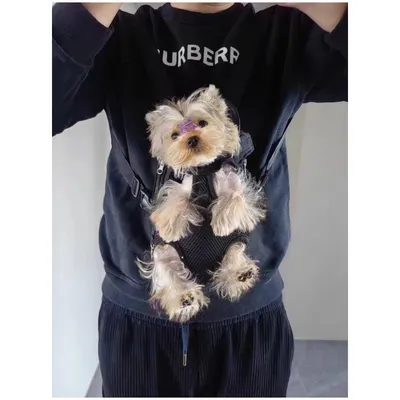 IntiMeg Sac à dos pour animaux de compagnie réglable