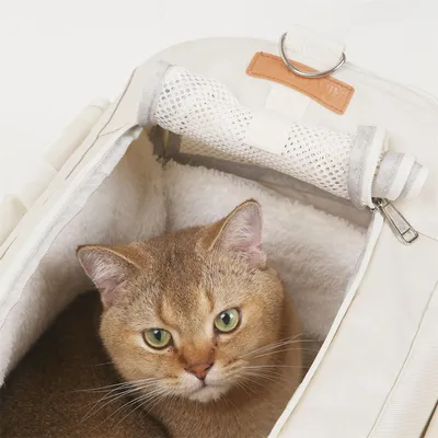 IntiMeg Sac de transport pour chat avec doublure polaire amovible