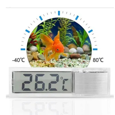 ZooVenture Lot de thermomètres numériques pour aquarium