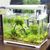 ZooVenture Lot de thermomètres numériques pour aquarium
