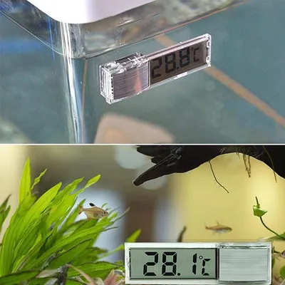 ZooVenture Lot de thermomètres numériques pour aquarium