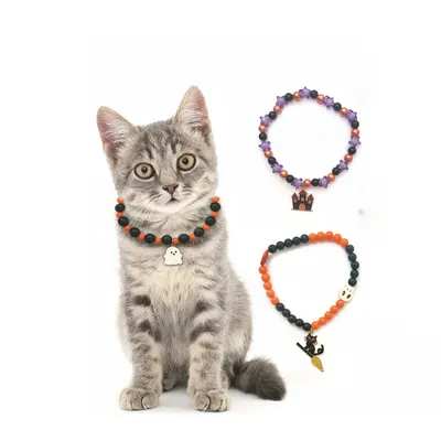 IntiMeg collar de gato de Halloween