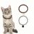 IntiMeg Collier d'Halloween pour chat