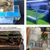 ZooVenture Lot de 4 protecteurs de bords pour aquarium