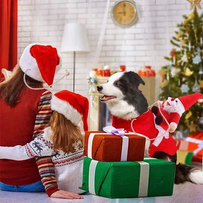 IntiMeg Weihnachtsmann-Mantel für Hunde IntiMeg Weihnachtsmann-Mantel für Hunde