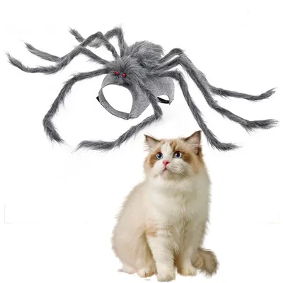 IntiMeg Spinnenkostüm für Katzen und Hunde – S