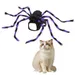 IntiMeg Spinnenkostüm für Katzen und Hunde – S