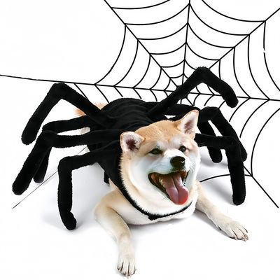 IntiMeg Costume d'araignée pour chien et chat d'Halloween