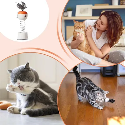 IntiMeg Friandises et jouets pour chats