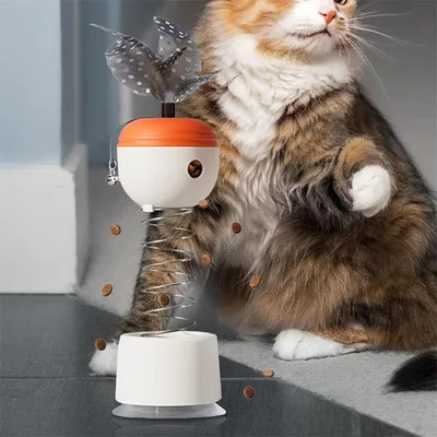IntiMeg Friandises et jouets pour chats