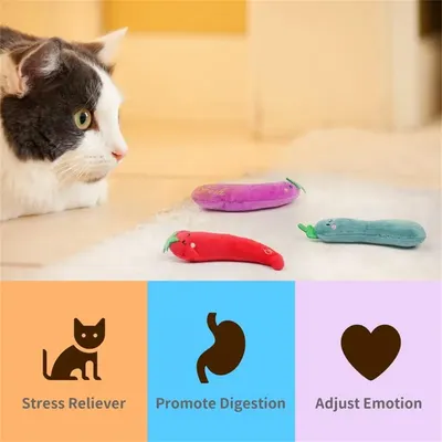 IntiMeg Jouet Herbe a Chat, 4 Pièces Jouet pour Chat, Cataire Légume Jouet
