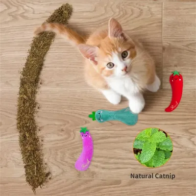 IntiMeg Jouet Herbe a Chat, 4 Pièces Jouet pour Chat, Cataire Légume Jouet