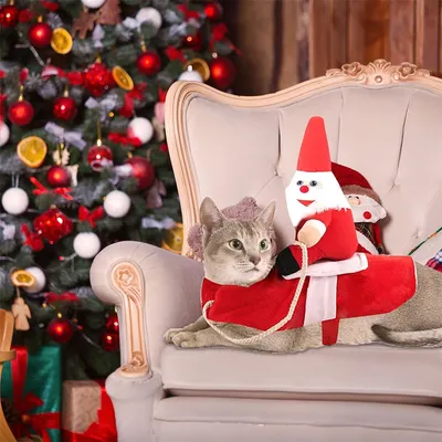 IntiMeg Weihnachtsmann-Mantel für Hunde IntiMeg Weihnachtsmann-Mantel für Hunde