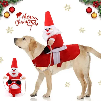 IntiMeg Weihnachtsmann-Mantel für Hunde IntiMeg Weihnachtsmann-Mantel für Hunde